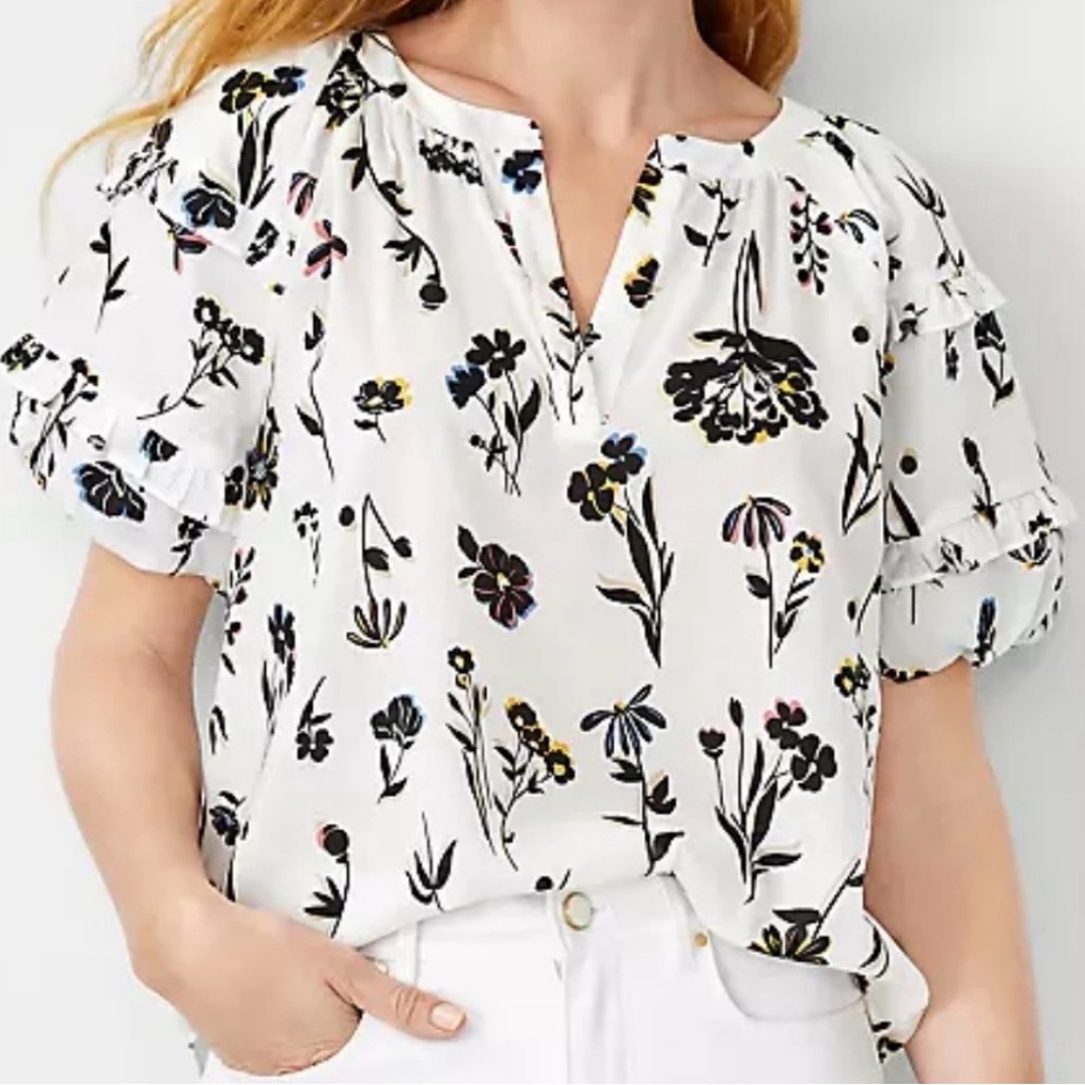 Ann Taylor Ivory and Black Blouse